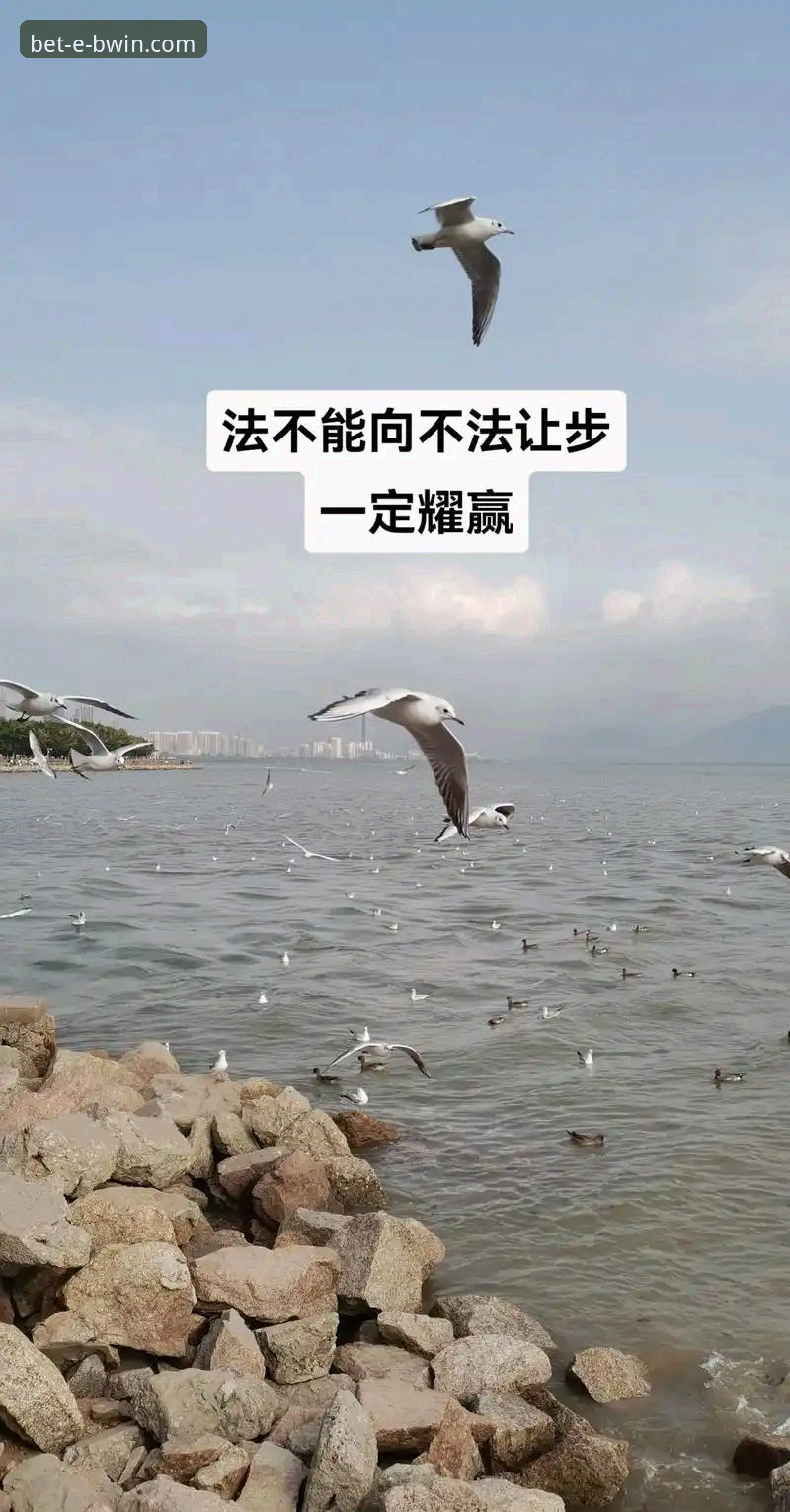 BWIN注册优惠哪个好 揭秘BWIN必赢体育注册优惠哪个好:老用户实测数据分享