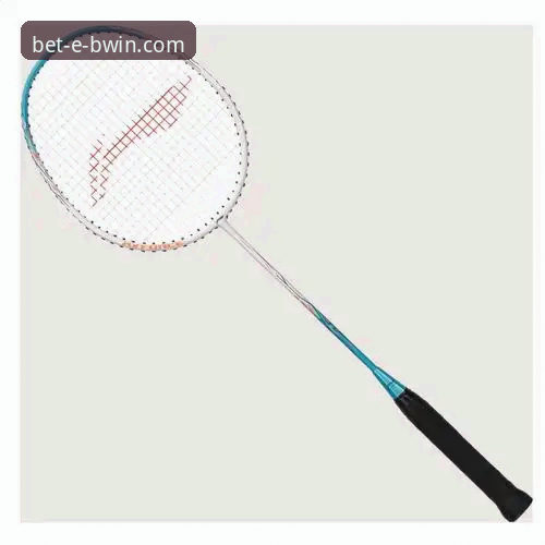 BWIN必赢体育注册指南：从入门到精通的实用经验分享